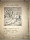 1912 Детская сказка Рейнекэ-Лис перевод М.Достоевского с рисунками, фото №7