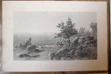 Девять подписных гравюр на стали 19 век Америка, фото №3