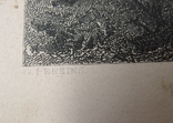 Девять подписных гравюр на стали 19 век Америка, фото №8