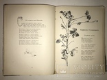 1903 Прижизненное И.Франко Сборник Аккорды с Эффектными иллюстрациями, фото №2