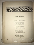 1903 Прижизненное И.Франко Сборник Аккорды с Эффектными иллюстрациями, фото №5