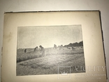 1903 Прижизненное И.Франко Сборник Аккорды с Эффектными иллюстрациями, фото №10