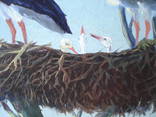 "Аисты" картина на картоне масло. Макаревыч П. К. 1997 г., фото №7