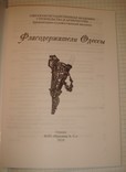 Письмак Ю. Флагодержатели Одессы, 2010 г, Одесса, тир.325 экз., фото №3