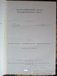 Анатомический атлас человеческого тела в 3-х томах., фото №3