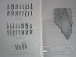 Анатомический атлас человеческого тела в 3-х томах., фото №6