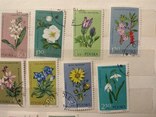 Серия марок, фото №4