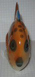 Рыбка ЛФЗ, фото №4