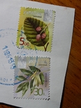 Восемь почтовых марок 2013 г. "деревья", фото №3