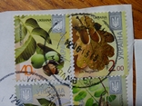 Восемь почтовых марок 2013 г. "деревья", фото №4