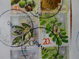 Восемь почтовых марок 2013 г. "деревья", фото №5