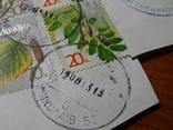 Восемь почтовых марок 2013 г. "деревья", фото №8