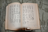 Археологгические исследувания на Украине в 1967-1968-1969-том 2 -3-4, фото №13
