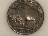5 центов сша 1925 ( бизон), фото №5