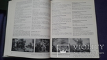 Два тома каталога западноевропейская  живопись в Эрмитаже, фото №11