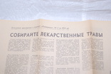 1974 Собирайте лекарственные растения. Приложение к журналу + выкройки, фото №3