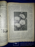 1910 Садоводство и огородничество 52 номера за год - 32х23 см., фото №2
