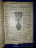 1910 Садоводство и огородничество 52 номера за год - 32х23 см., фото №13