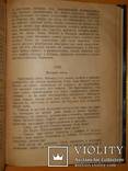 1924 Книга о Гохе-Дураке, фото №12