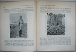 1927 Труд. Рабинович И.С. 4000 экз., фото №8
