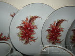Сервиз чашки блюдца тарелки роспись клеймо Германия, фото №11