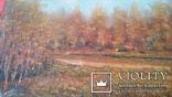 Картина, пейзаж:" Золотая осень ". Подписная. В наличии 1 штука. Размеры; 26,5Х20 см., фото №6