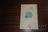 Проф Эдельштейн. Индивидуальный огород.изд.1945, фото №6