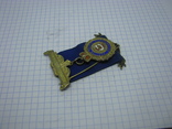 Масонский знак Королевского Ордена Буйволов, Royal Antediluvian Order of Buffaloes (RAOB), фото №4