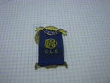 Масонский знак Королевского Ордена Буйволов, Royal Antediluvian Order of Buffaloes (RAOB), фото №7