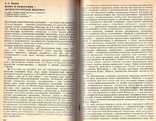 На перепутье.Философские дискуссии 20-х годов.1990 г., фото №7