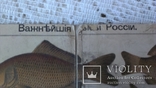 Приложение к журналу Нива 1889 год, фото №7