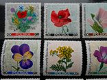1964 г.  Польша Флора Полевые цветы (**), фото №3
