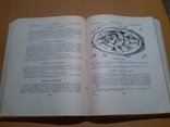 Українські страви 60 год, фото №8