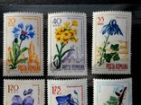 1967 г. Румыния Флора Цветы (**), фото №3