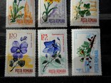 1967 г. Румыния Флора Цветы (**), фото №4