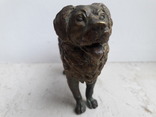 Венская бронза собака клеймо gecshtuzt, фото №4