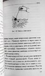 Чтение ауры для начинающих. Ричард Вебстер, фото №9