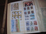 Большой лот марок Украины в альбоме SCHAUBEK,  MNH, фото №5