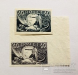 Проба марки сіро-лілова 7І ** 1921 рік, фото №5