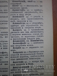 Словарь иностранных слов Н.Я. Гавкин 1901 г, фото №7