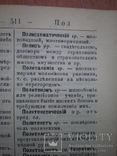 Словарь иностранных слов Н.Я. Гавкин 1901 г, фото №8