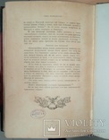 Шильдер, Н.К. Император Александр I, его жизнь и царствование.  Т. IV. Ч. 1, фото №8