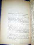 1911 Жизнеописание Вольтера, фото №3