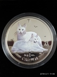Монеты кошки остров МЭН, фото №7