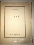 1920 ПЛУГ Прижиттєвий П.Тичина Украинистика, фото №3