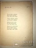 1920 ПЛУГ Прижиттєвий П.Тичина Украинистика, фото №5