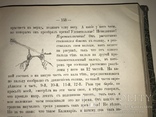 1877 Киев Путешествие в Афонские Монастыри с огромными картами, фото №9