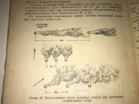 1940 Боевые Действия Конницы военное издательство, фото №7