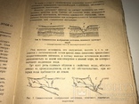 1932 Гидрогеология Источники Подземные Воды, фото №8