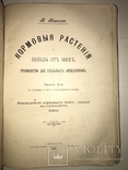 1906 Кормовые Растения редкая книга для Арендаторов, фото №7